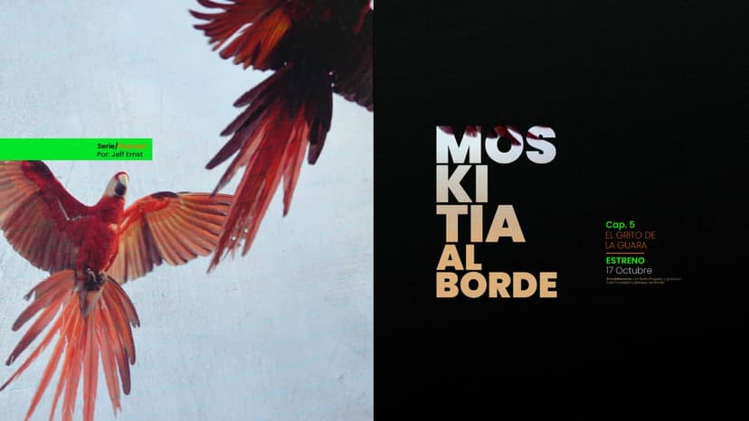 El grito de la Guara